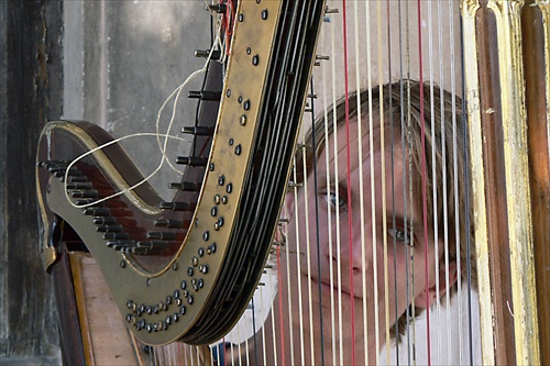 Spoza harfy