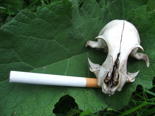 EX fajčiar
