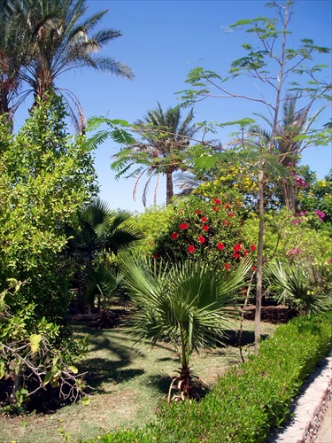 Egypt - záhrada