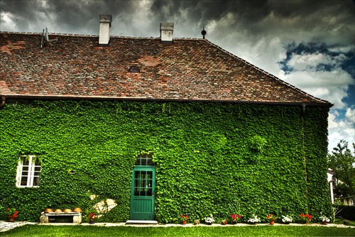 Zeleny dom