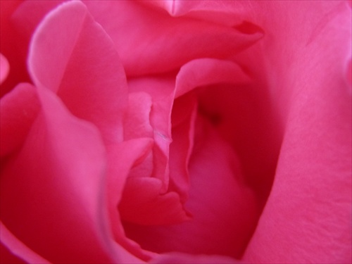 ružová