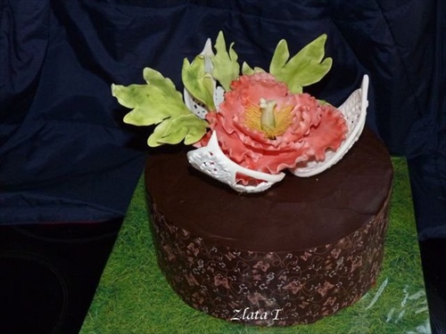 čokoládová torta s pivonkou