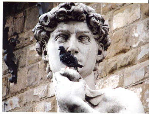 Florencia - "Michelangelov Dávid ? - pekná socha"