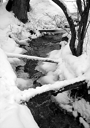 zima na potoku