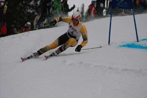 fis cup
