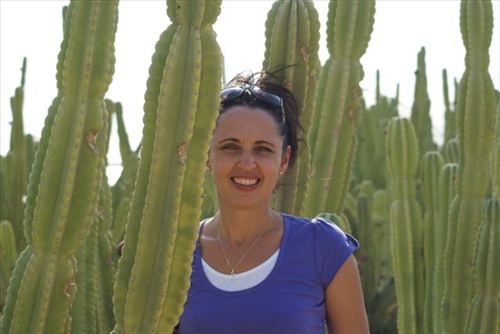 kaktusové pole