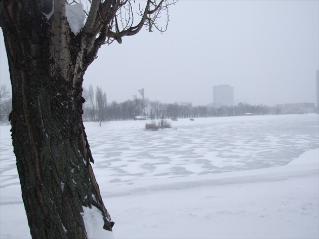 kuchajda zima 2013