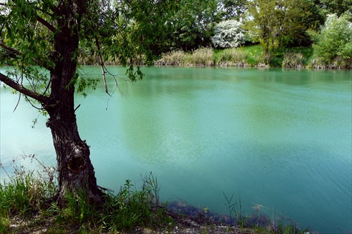 Voda na Zelenej vode