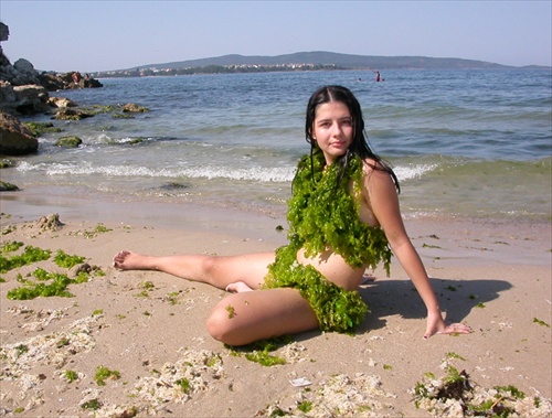 malá morská Zelenka