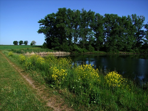 Jarný rybník