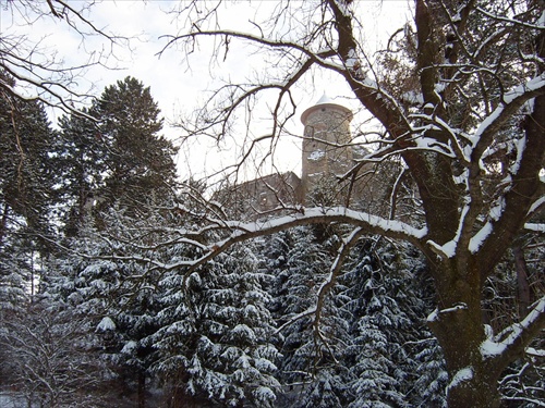 Ľubovniansky hrad v zime