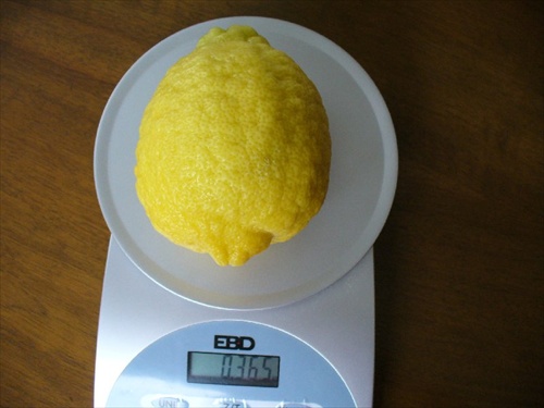 citrónik z vlastnej úrody