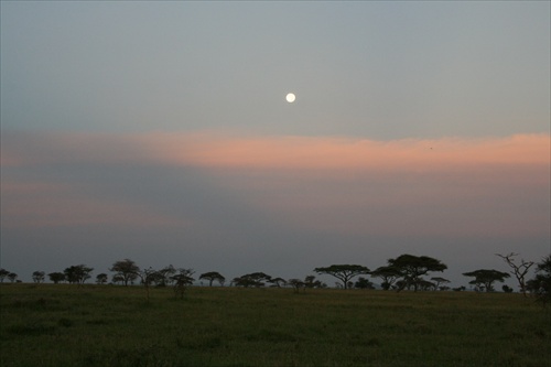 mesiac nad serengeti