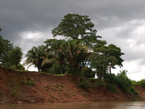 Amazónsky dažďový prales