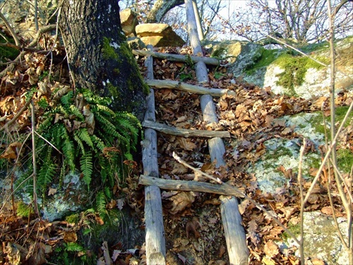 Drevený rebríček