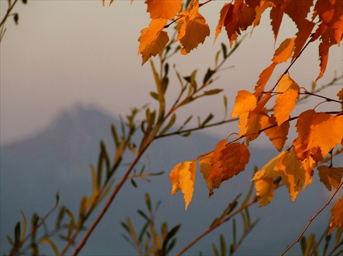 Jesenná impresia so Súľovskými skalami v pozadí