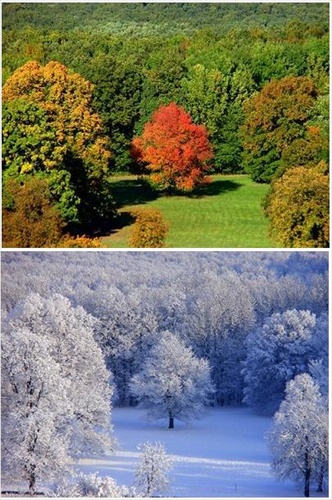 "jeseň a zima"
