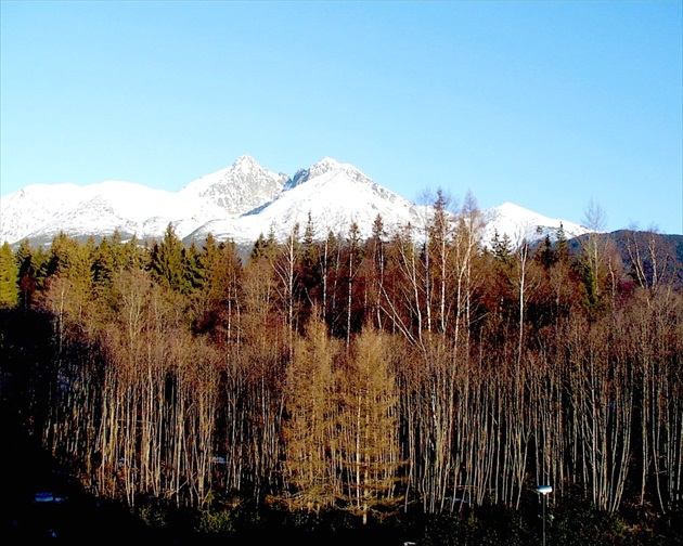 Tatranský les