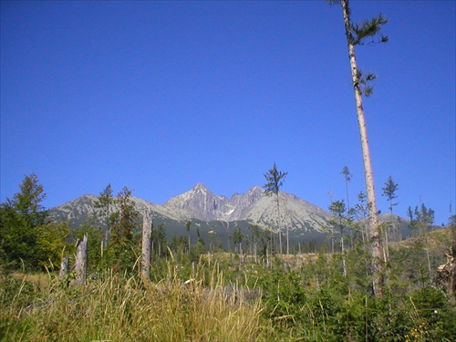 Les v Tatrach