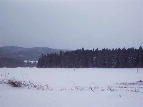 V zime pod Tatrami