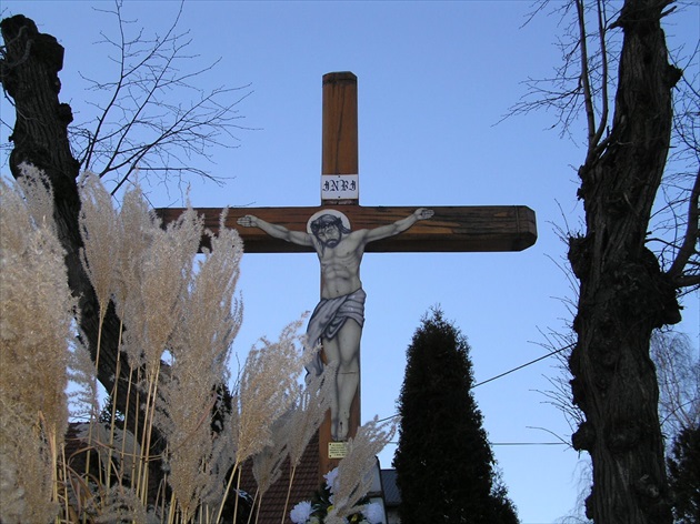 kríž Brusnicova
