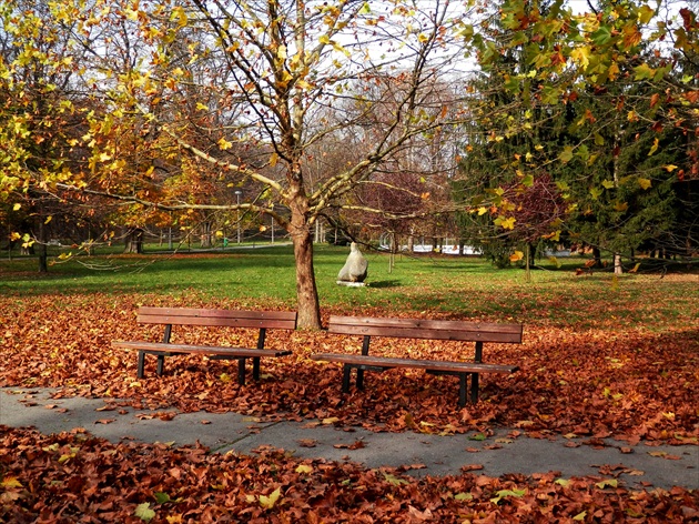 Lavičky v jesennom parku