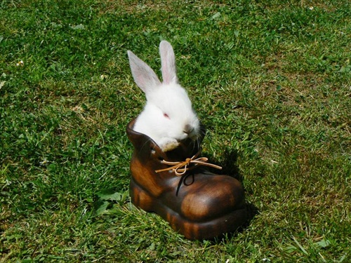 veľkonočný zajko v bote