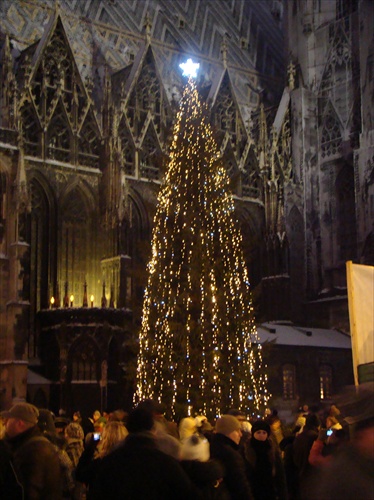 Vianočný stromček pri Stephansdom-e