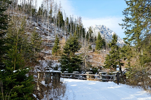 „Velický most" 1304 m n. m.