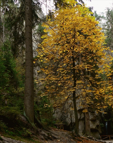 Jeseň medzi skalami I