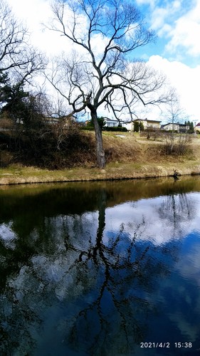 Pri rybníku.