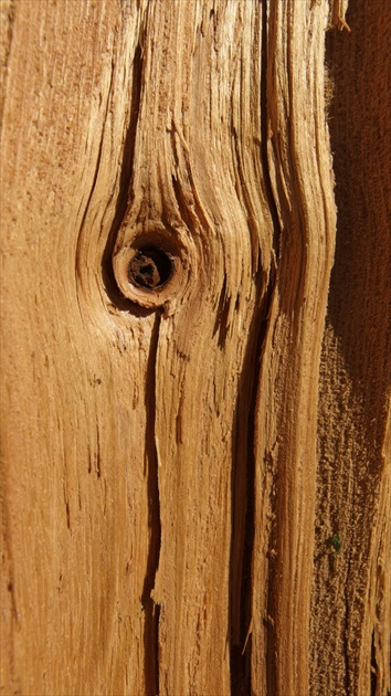 Krása dreva