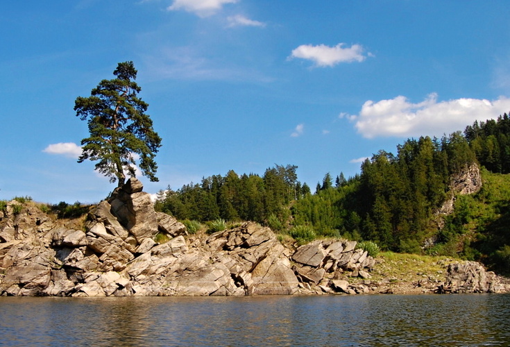 Chudobínská borovice