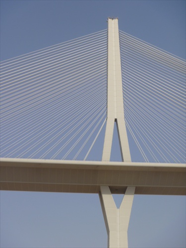 Hanging Bridge Riyadh 2