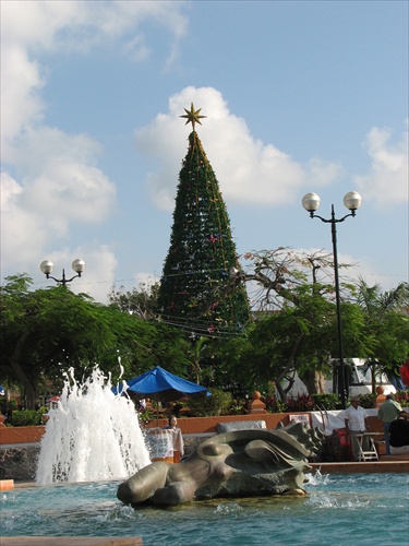 ¡Feliz Navidad y Próspero Año Nuevo de Cozumel, Mexico!