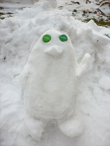 snehový tučniak