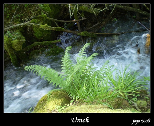 horský potok v Urachu