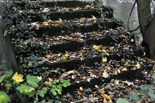 Jesenné schody