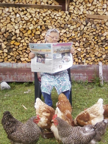 Čo číta gazdiná v novinách? Snáď nezdraželi kurčatá ...