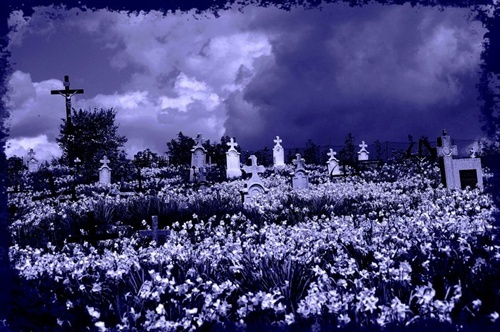 Živý cintorín ...
