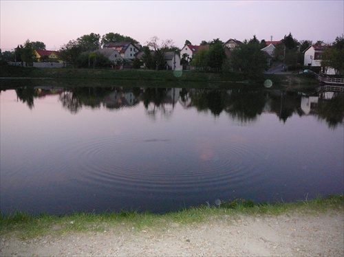 DevínskoNovoVesský rybník