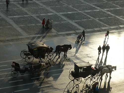 koníky v lúčoch slnka (Petrohrad)