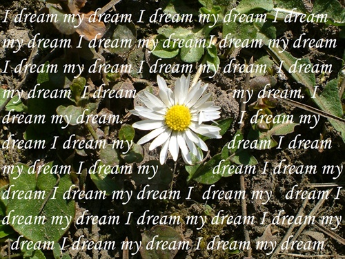 ♥I dream my dream♥