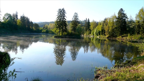 Markušovský rybník