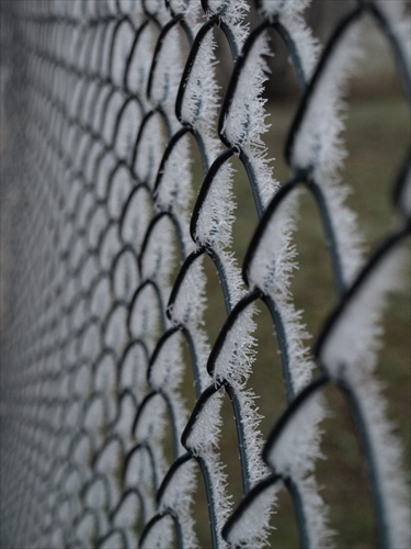Ľadový plot