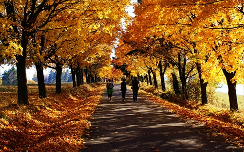 prechádzka jeseňou