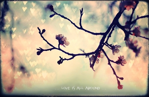 ... love is all around ...
