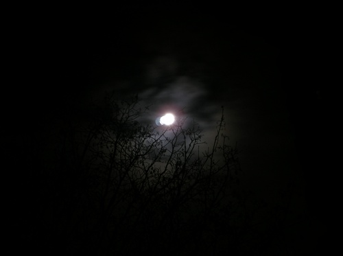 Luna v noci