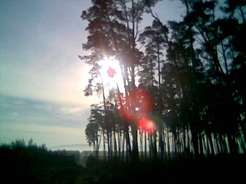 ranné slnko nad rašelinou
