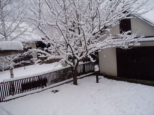 prvý sneh - 5.november 2006  II.